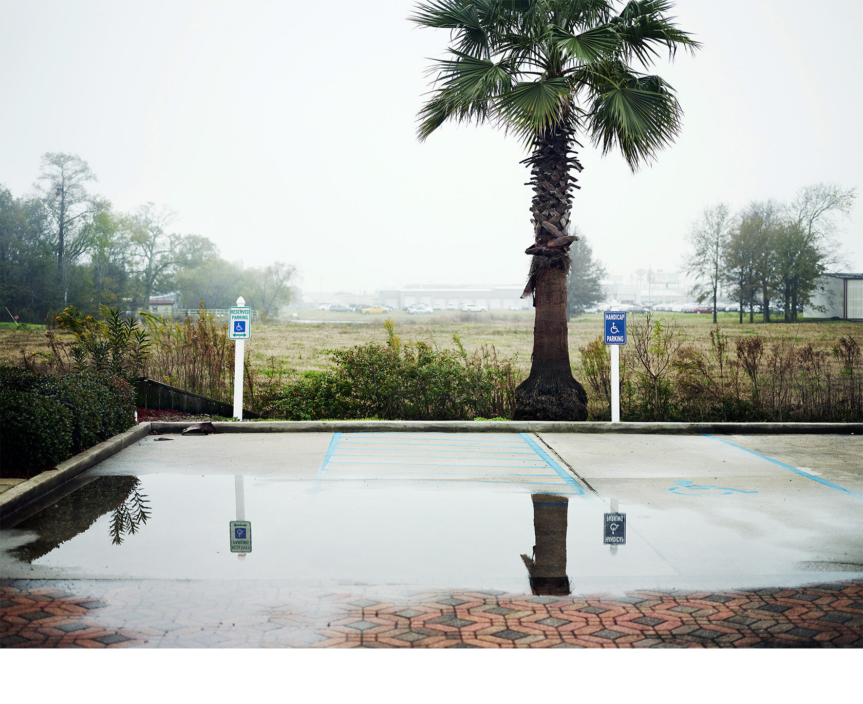 Parking-Lot-Puddle-The-Other-Side-Of-Christmas-Barry-Salzman.jpg