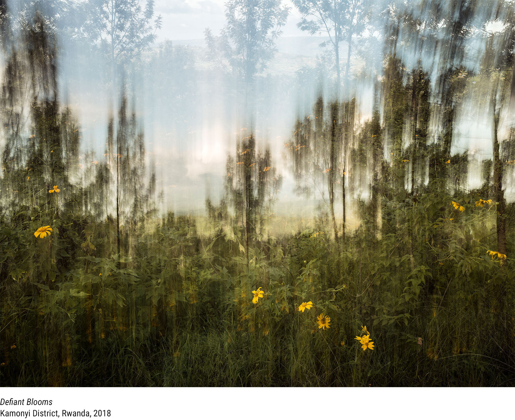 Barry-Salzman-Defiant-Blooms-Kamonyi-District-Rwanda.jpg