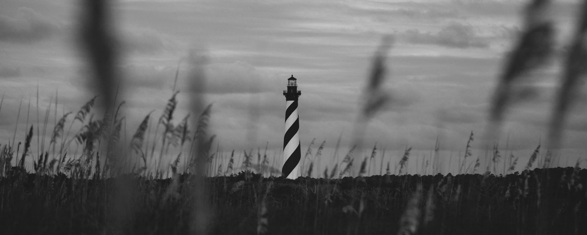 unsplash-image--_EU1zJdJ9U.jpg