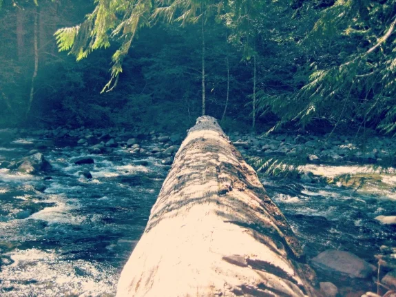 log