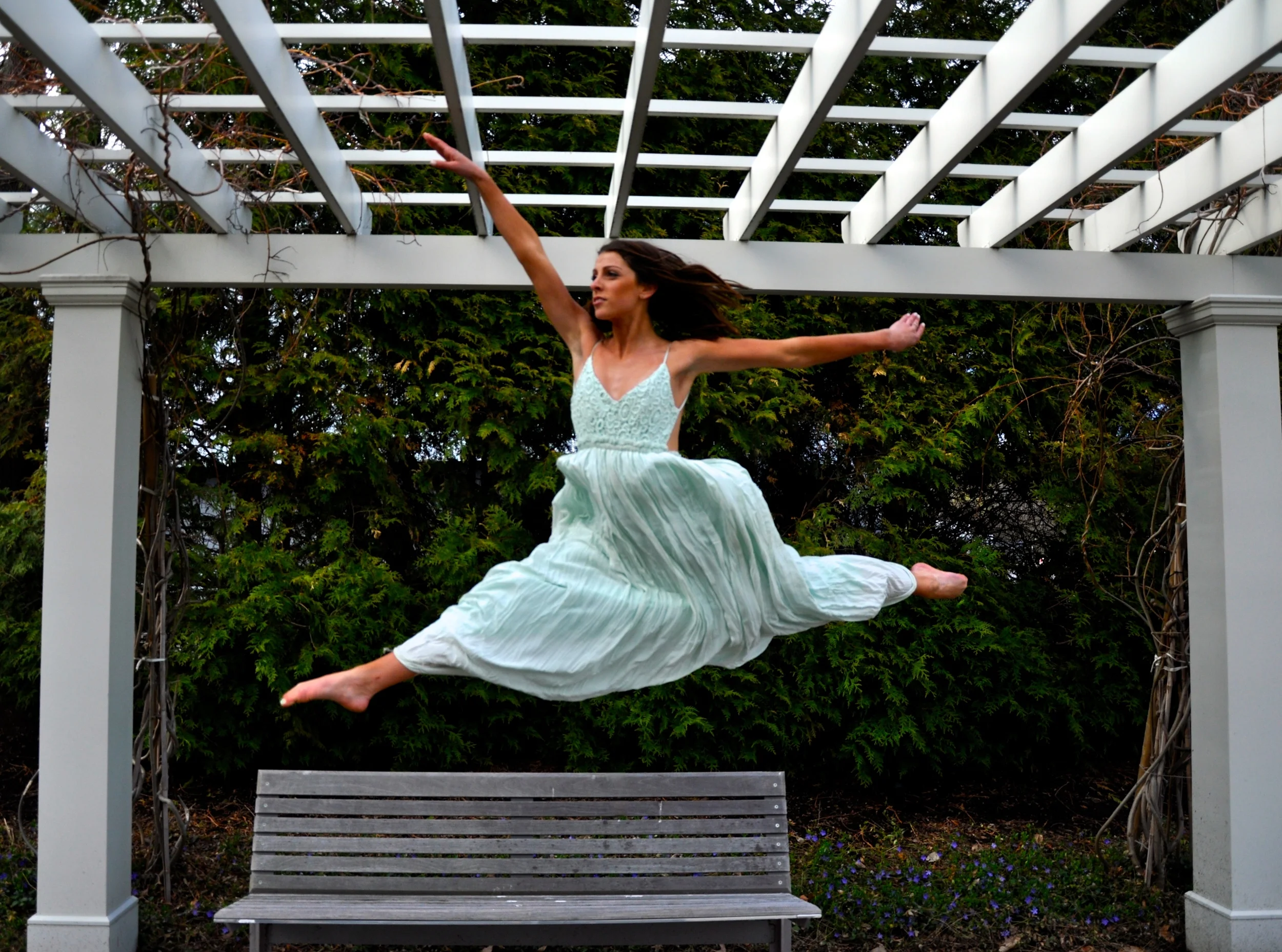 Passion Project: ALIVE Dance Collective