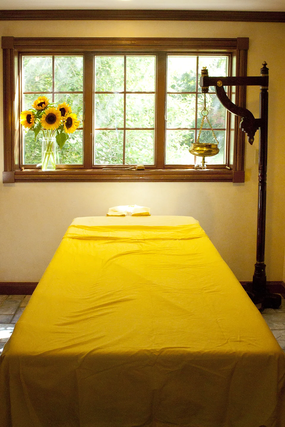 Intro to Ayurveda with Jill Talve