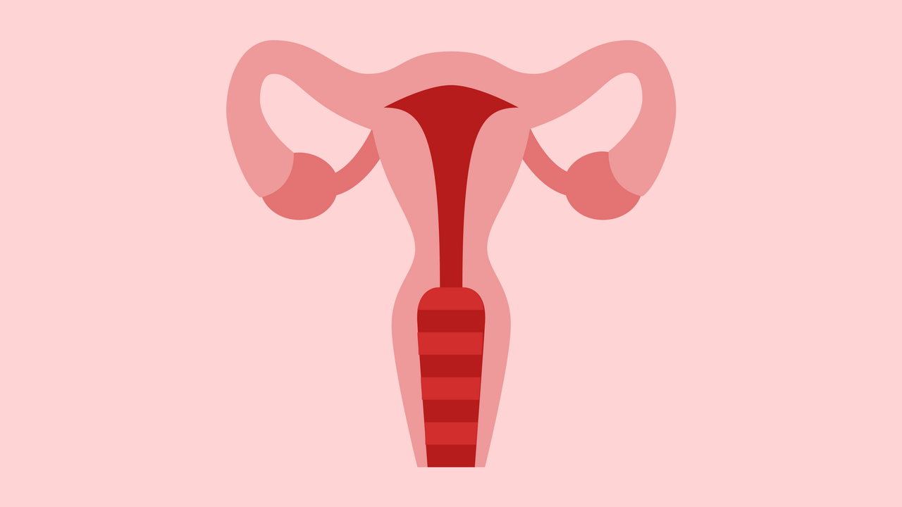 Why You Gain Belly Fat After Menopause (And Why It's OK)