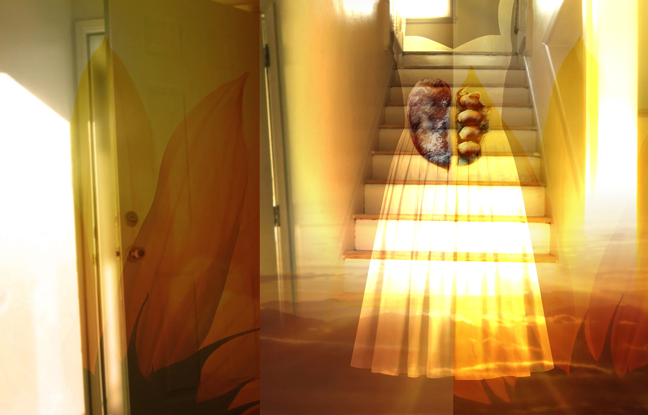 sundress 22.5x15.jpg