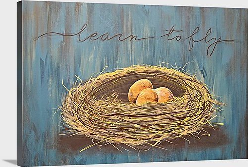 Learn to fly...