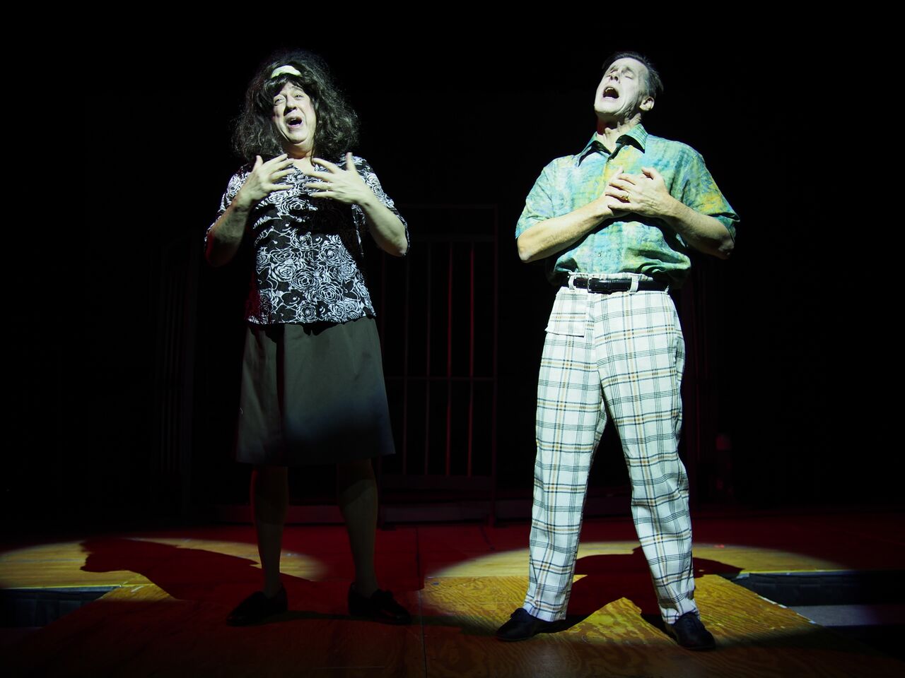 Hairspray 2014