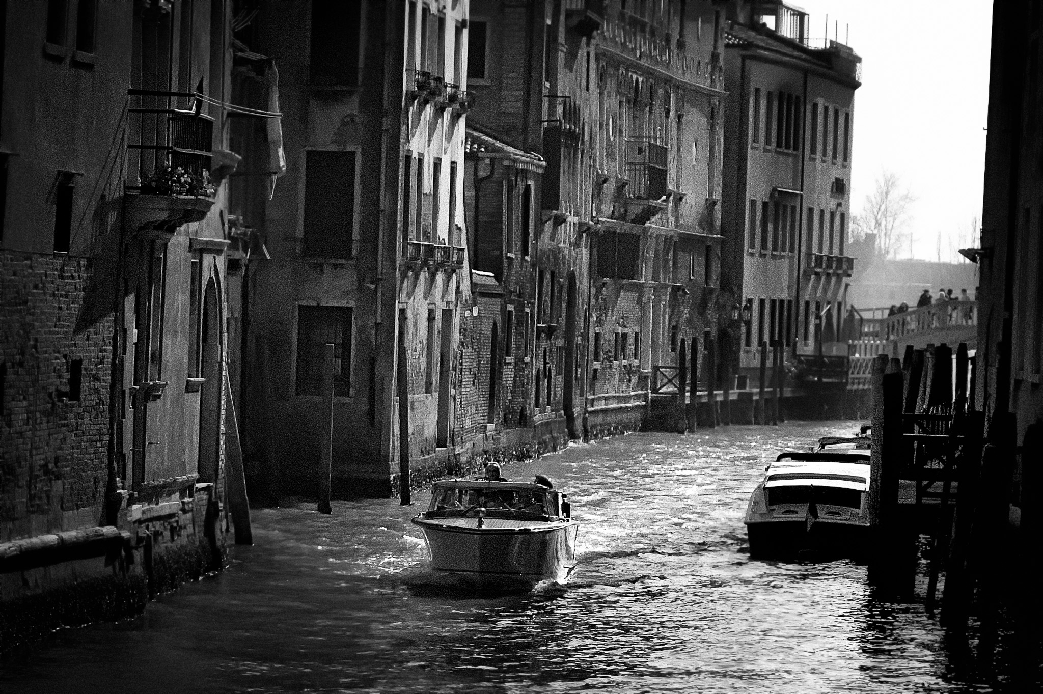 Venitian arcjitecture
