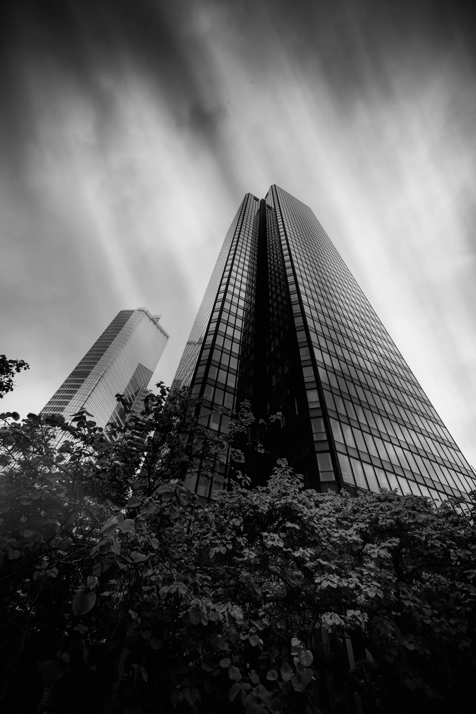 jmm_2015-100-24.jpg