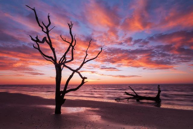 Lowcountry Fireworks - a scene that no longer exists along Edisto Island, South Carolina. Hurricanes forever change this landscape, often faster than normal erosion events. Now the search begins for a new location to photograph here.