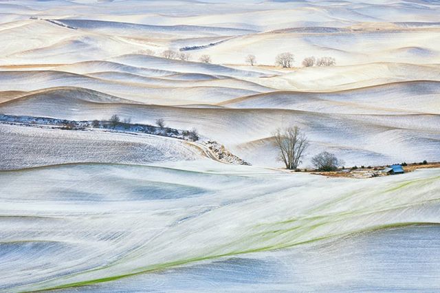 First Snow // at first glimpse this looks like a pencil drawing, but it's an image I captured as a snow event skirted the #Palouse around Steptoe Butte, Washington.  Having this area as my 'backyard' was a great experience, I just wish I'd explored m