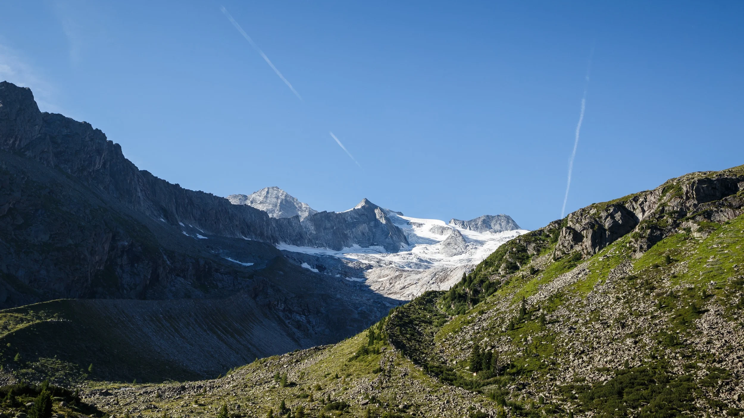 _MG_7687.jpg