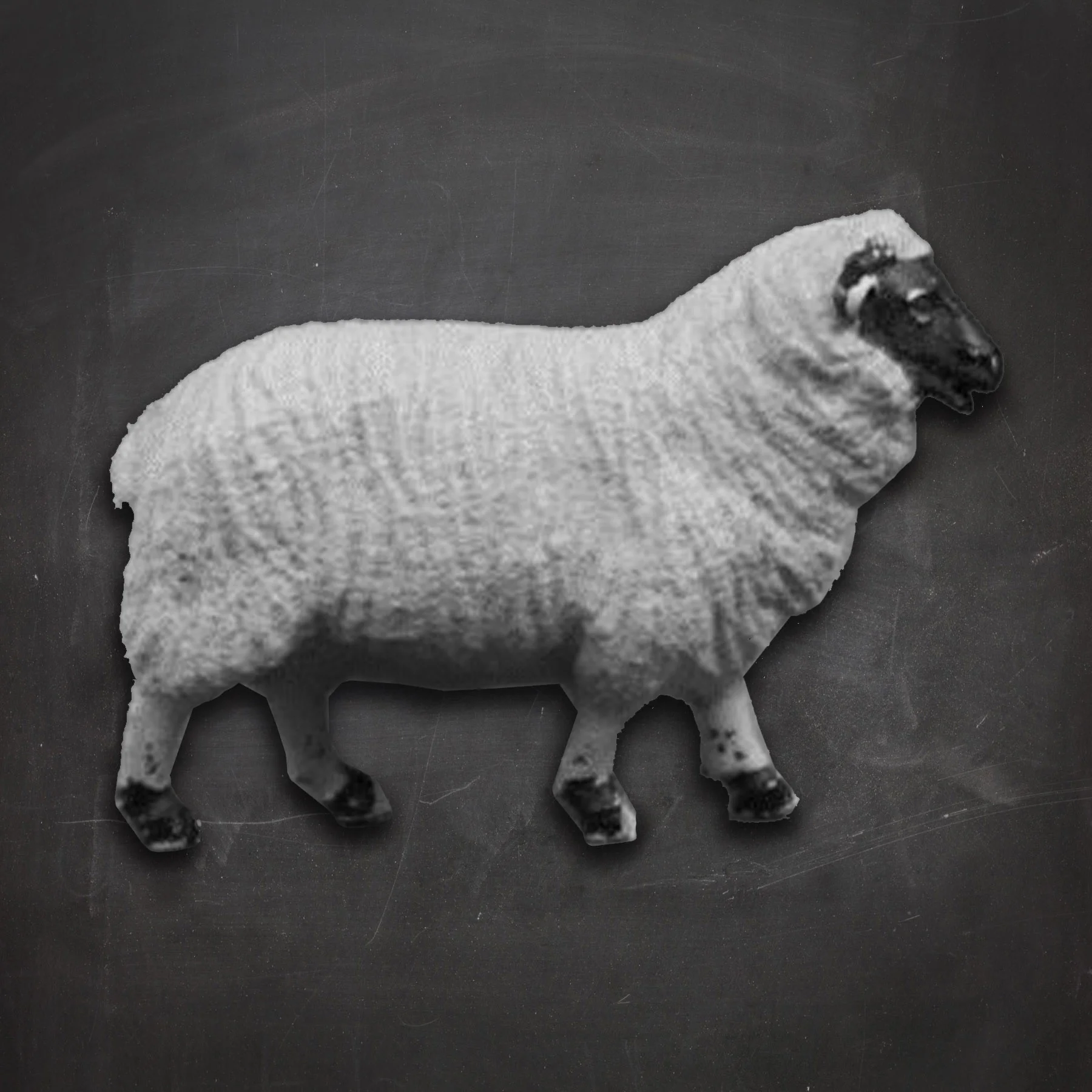 LEDsheep.jpg