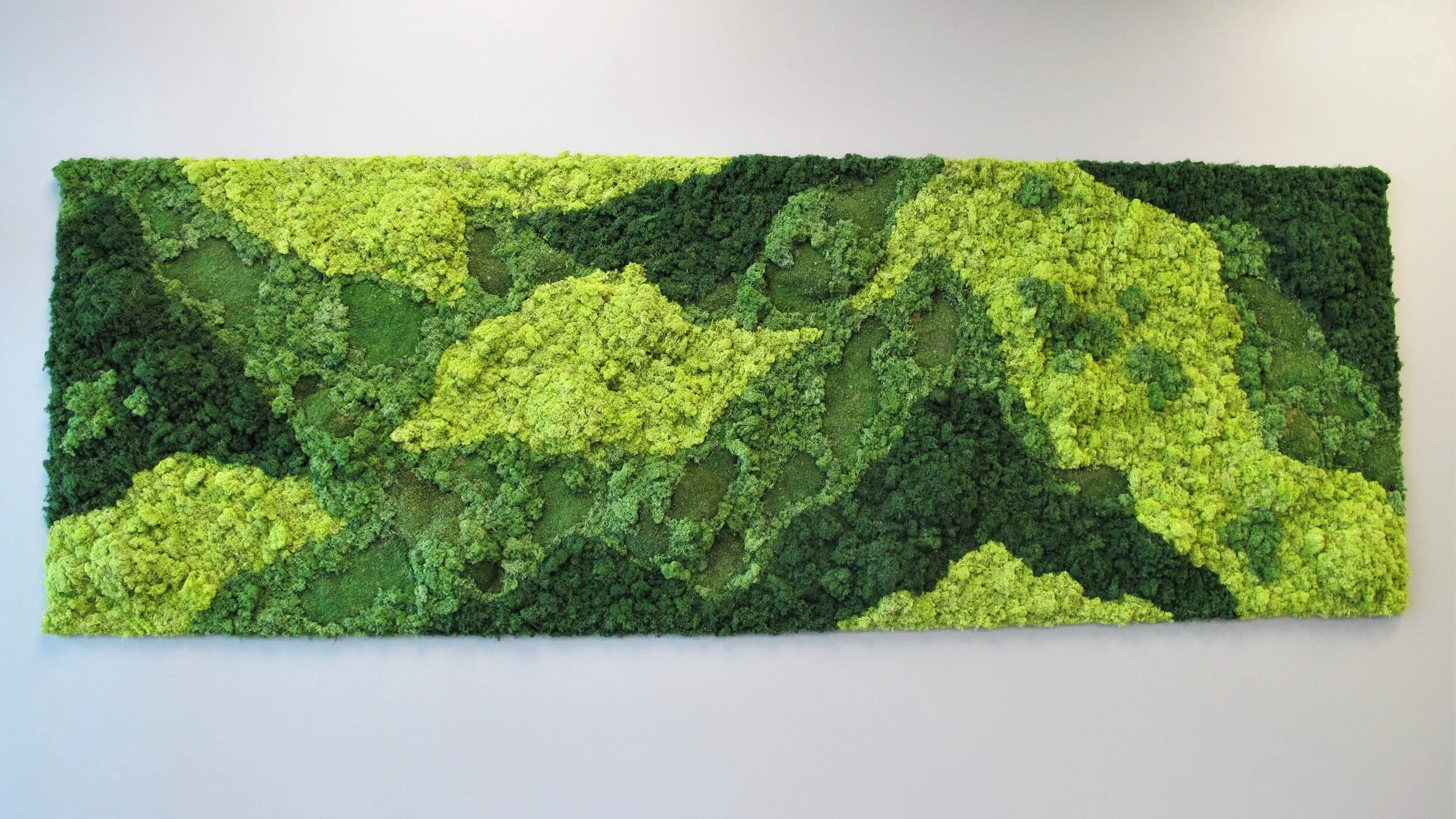 moss wall wide screen.jpg