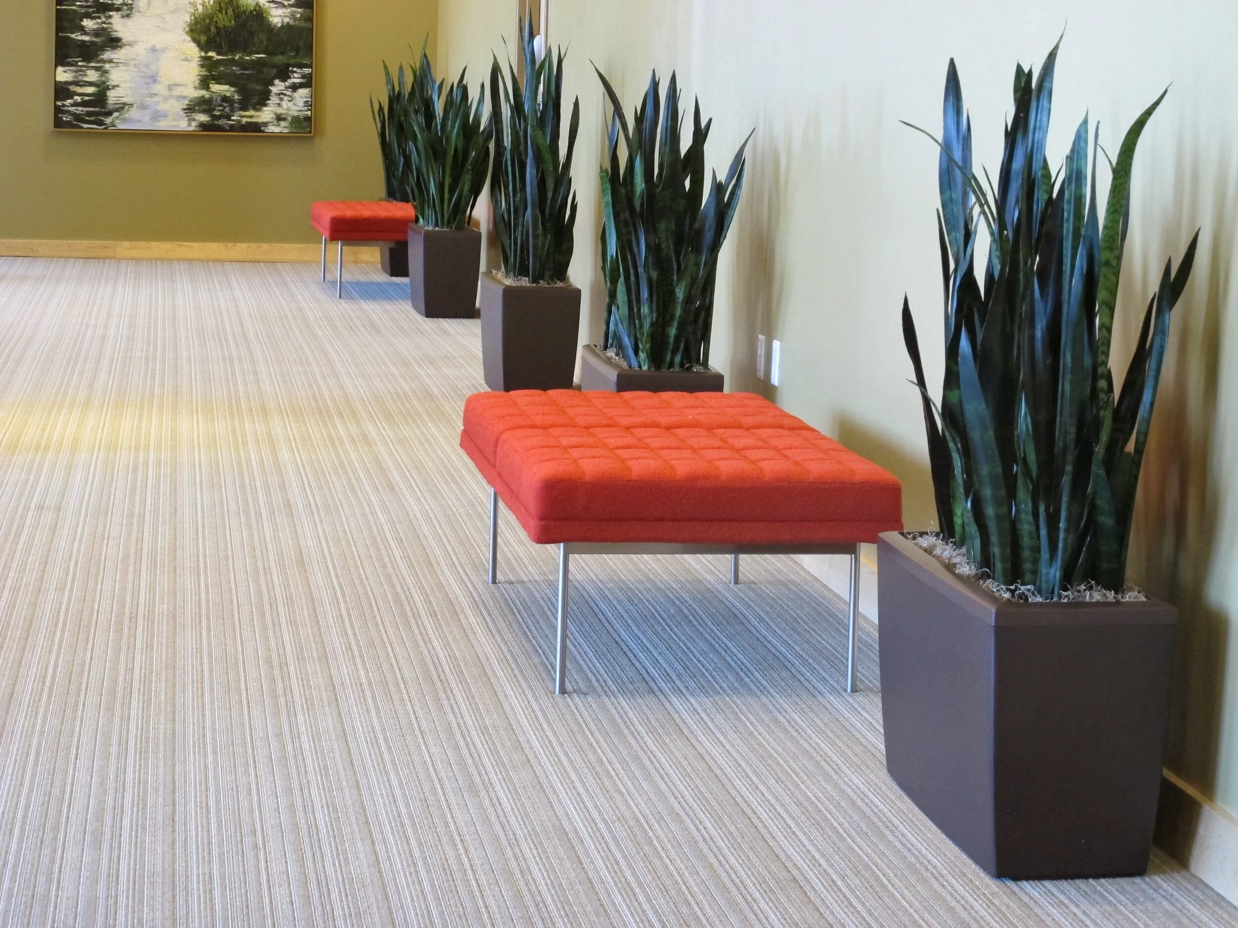 sans with red benches.jpg