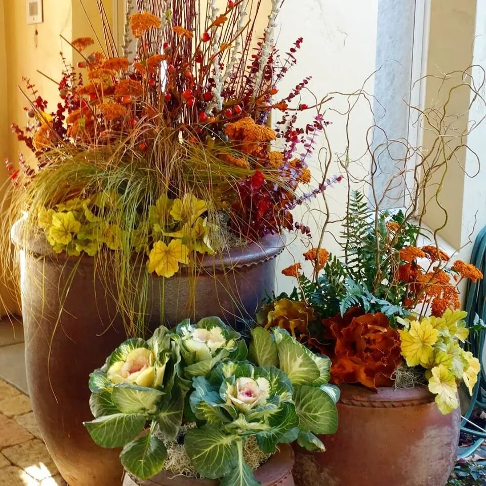 outdoor brwn cont autumn 3 pots.jpg