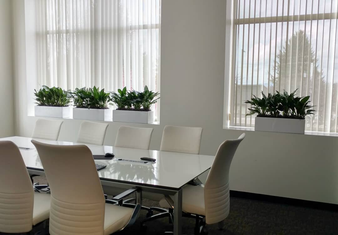 conf room white planters.jpg