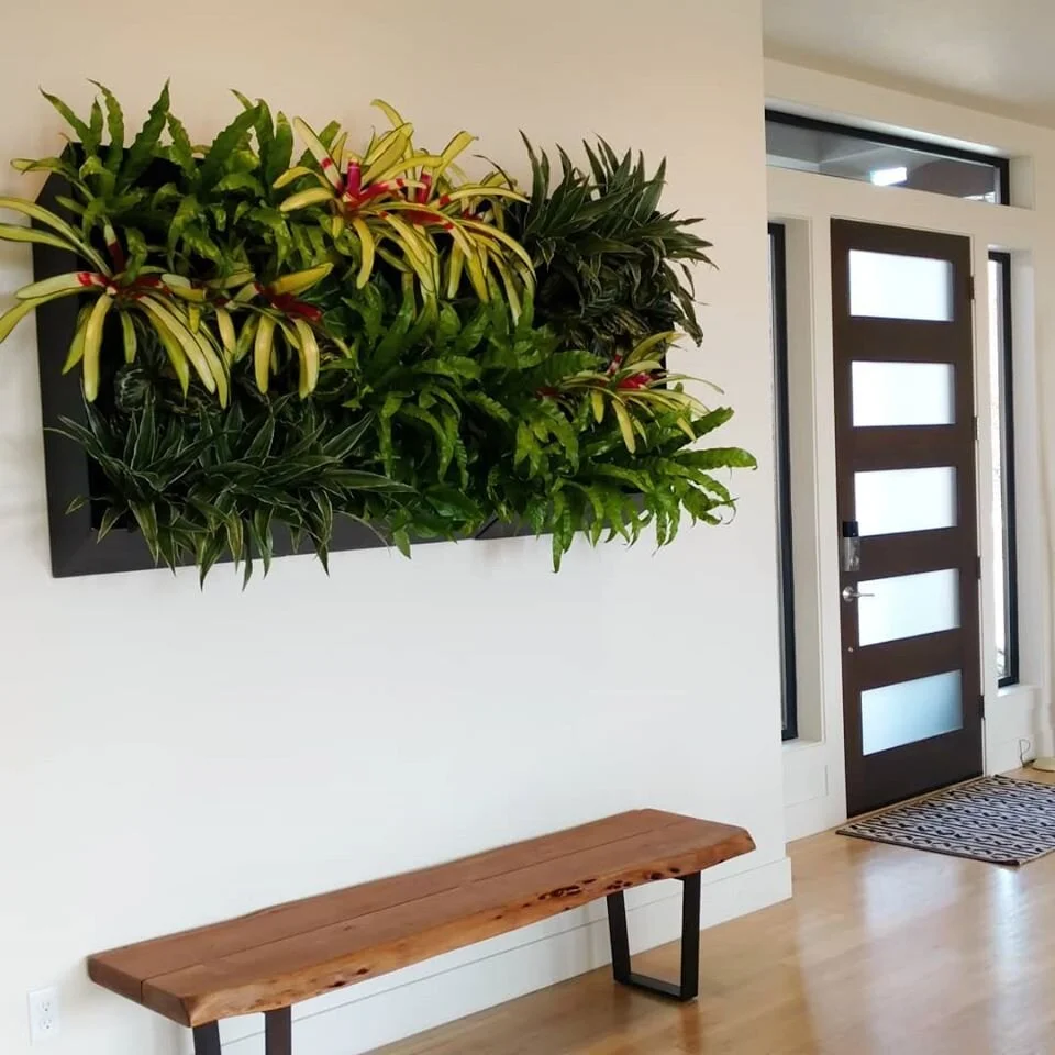 broms over bench.jpg