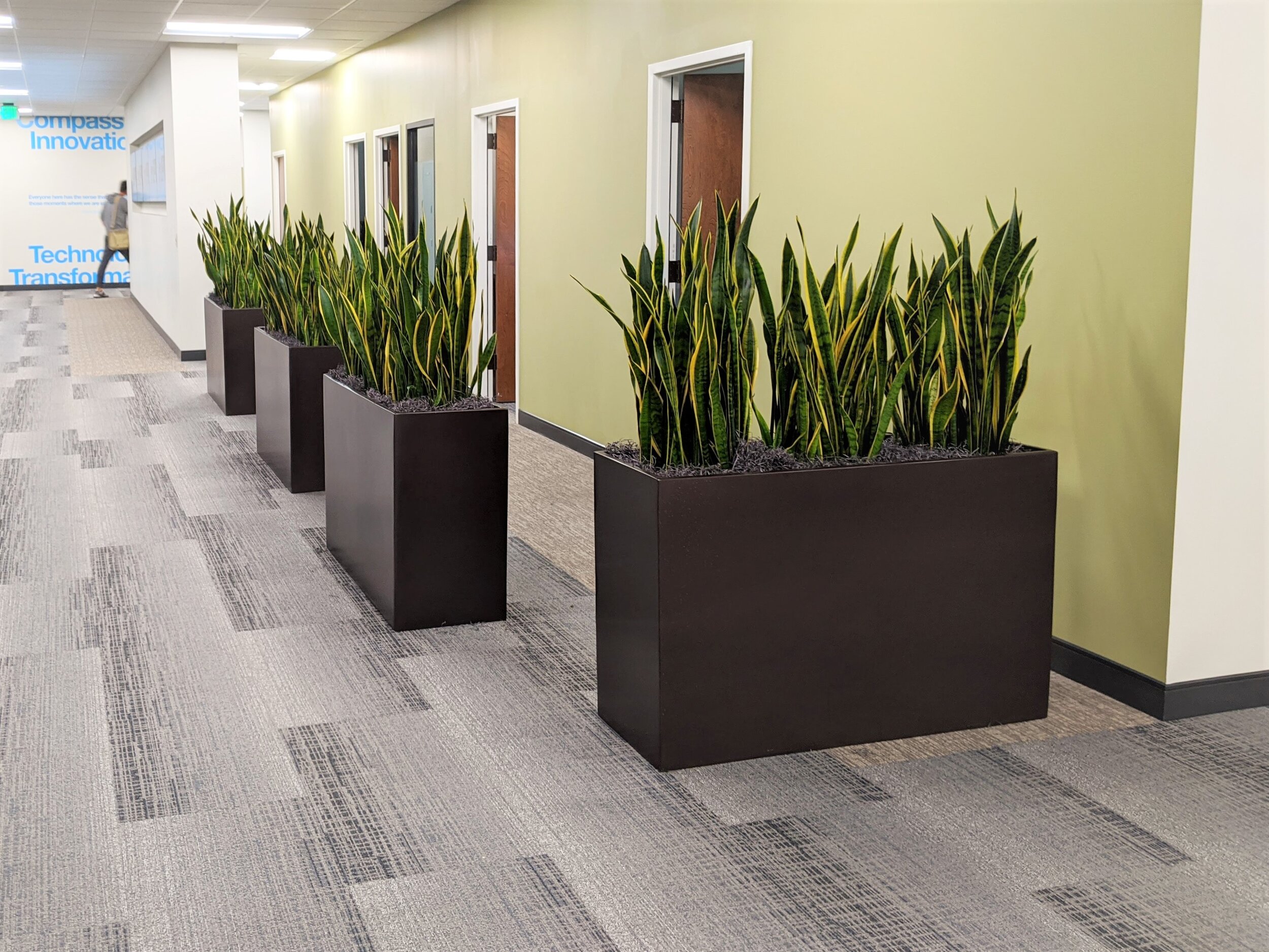 TH planters dividers traffic flow.jpg