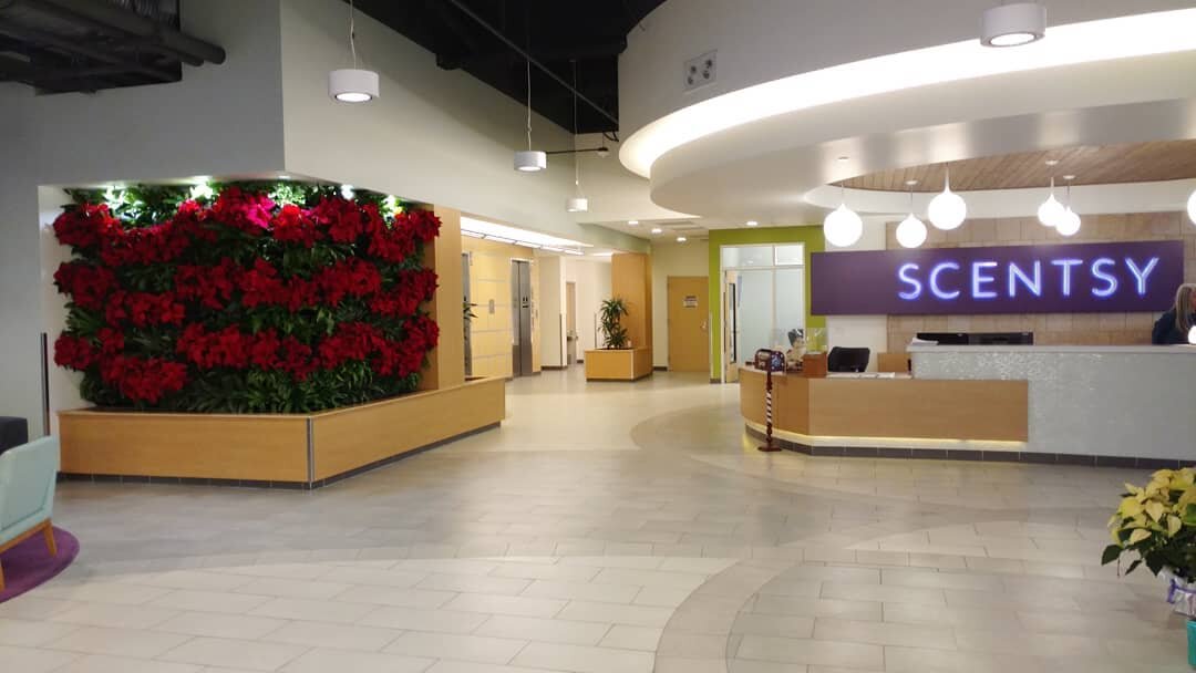 scentsy wall poinsettias.jpg