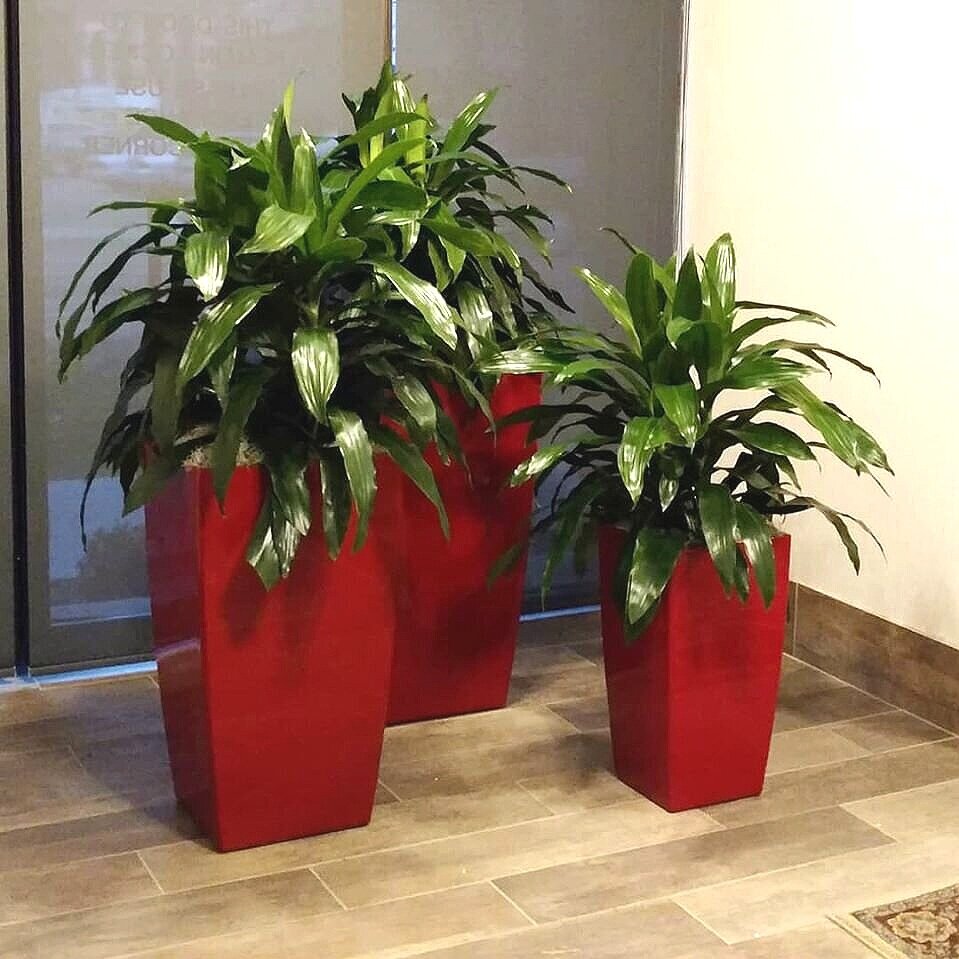 red+tall+containers+JCs.jpg
