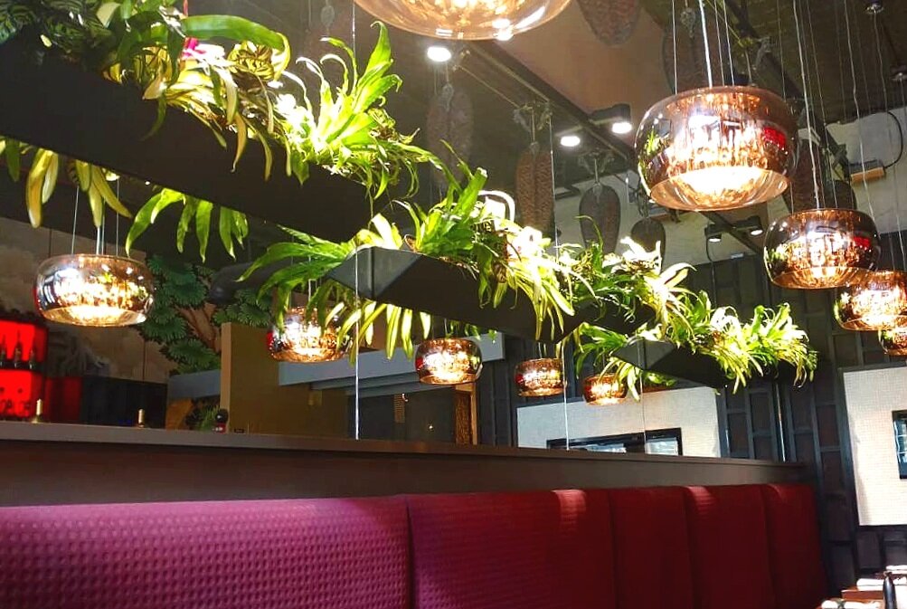 mai+thai+vert+planting+look+up+lights.jpg
