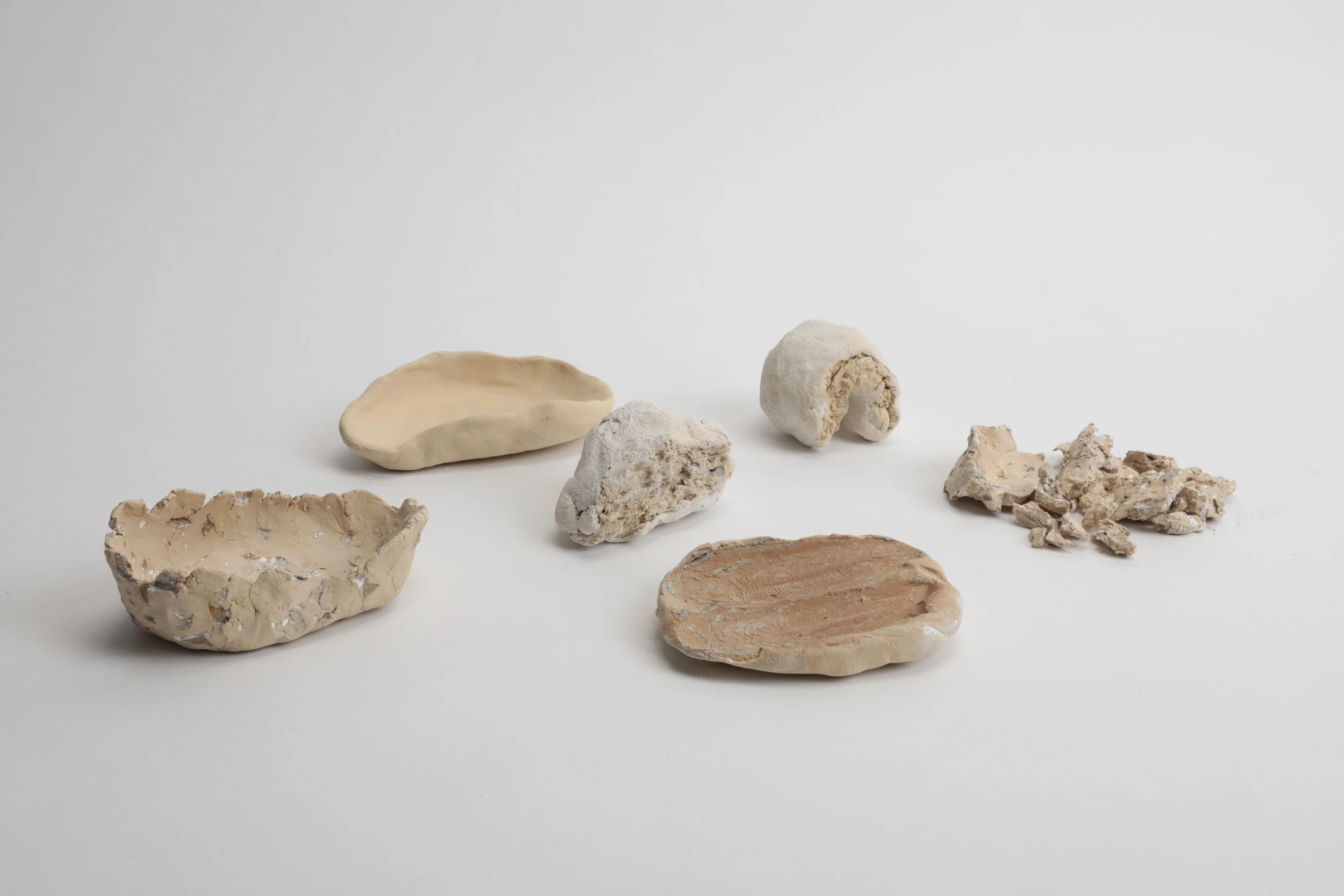 Clay and Cuttlefish Bone