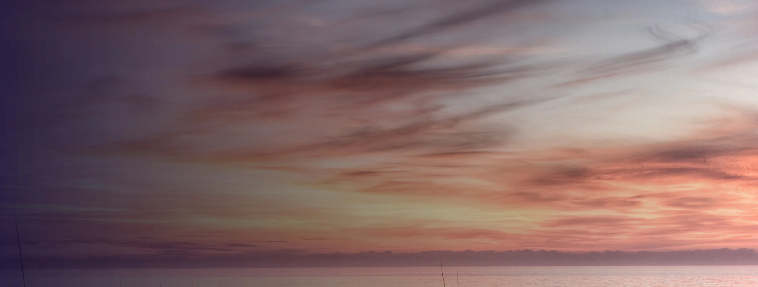 The Homestead - The Next Chapter