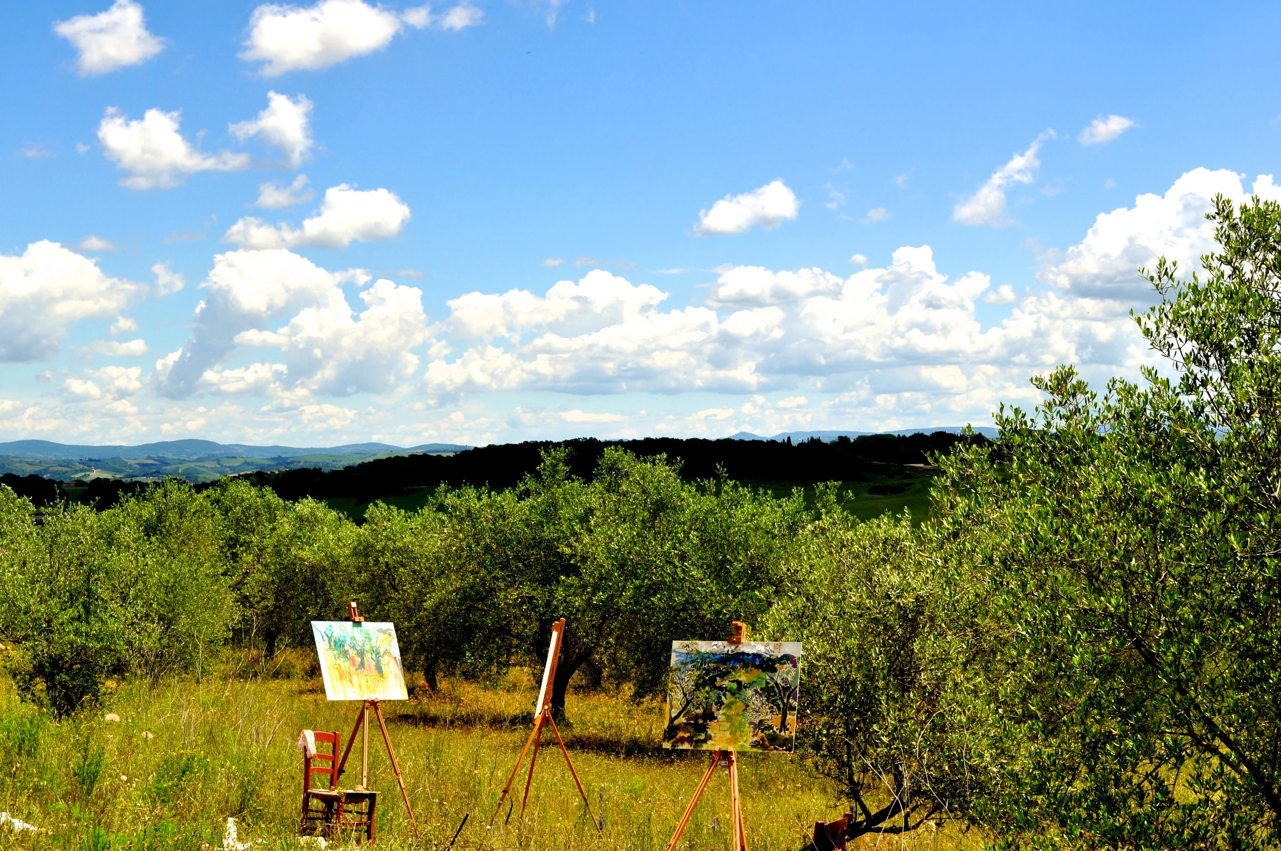 DSC_0158.jpg