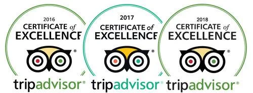 Ninja Escape is the Best Escape Room in Seattle, and the top fun thing to do, according to tripadvisor. We think it is pretty great, but we are biased.