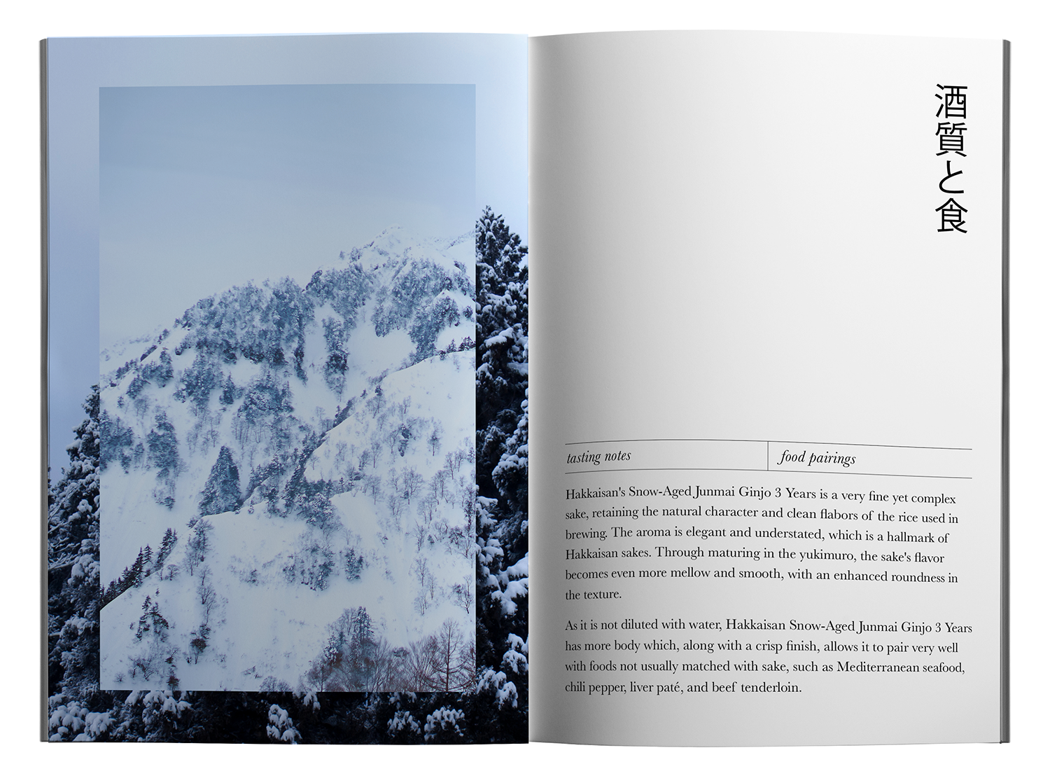 hakkaisan brochure mockup spread 6 copy web.png