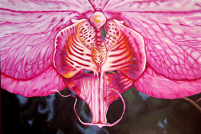 Pink Orchid, 2007. Donated, Equality Florida.