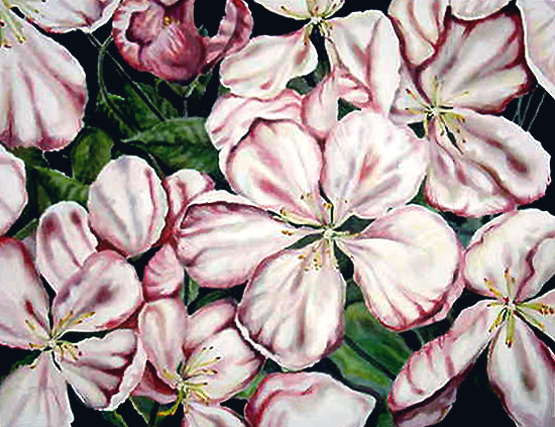 Cherry Blossoms, Oil. 1999. Sold.