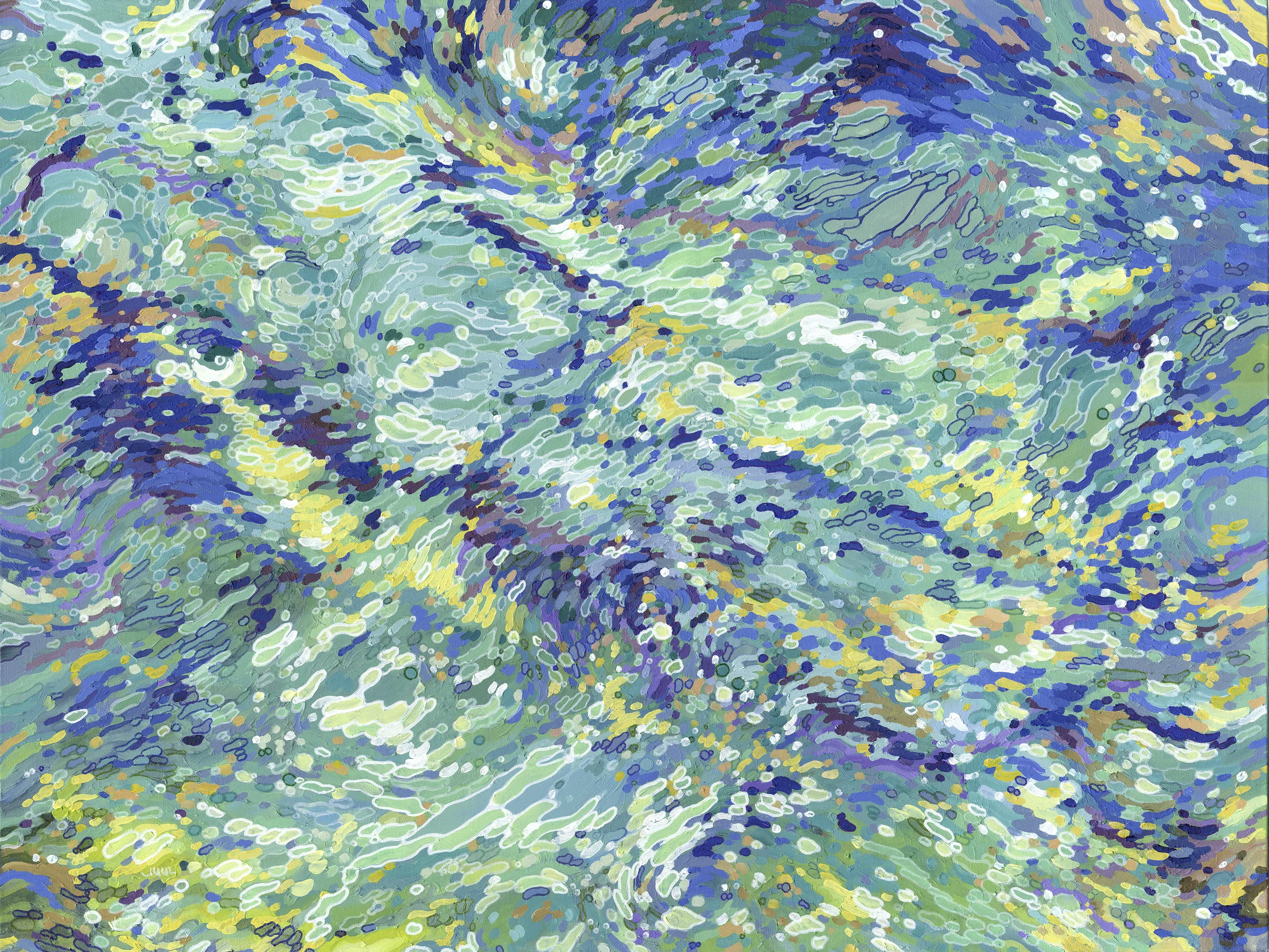 Chrysanthemums Reflecting - Archive 26.1.jpg