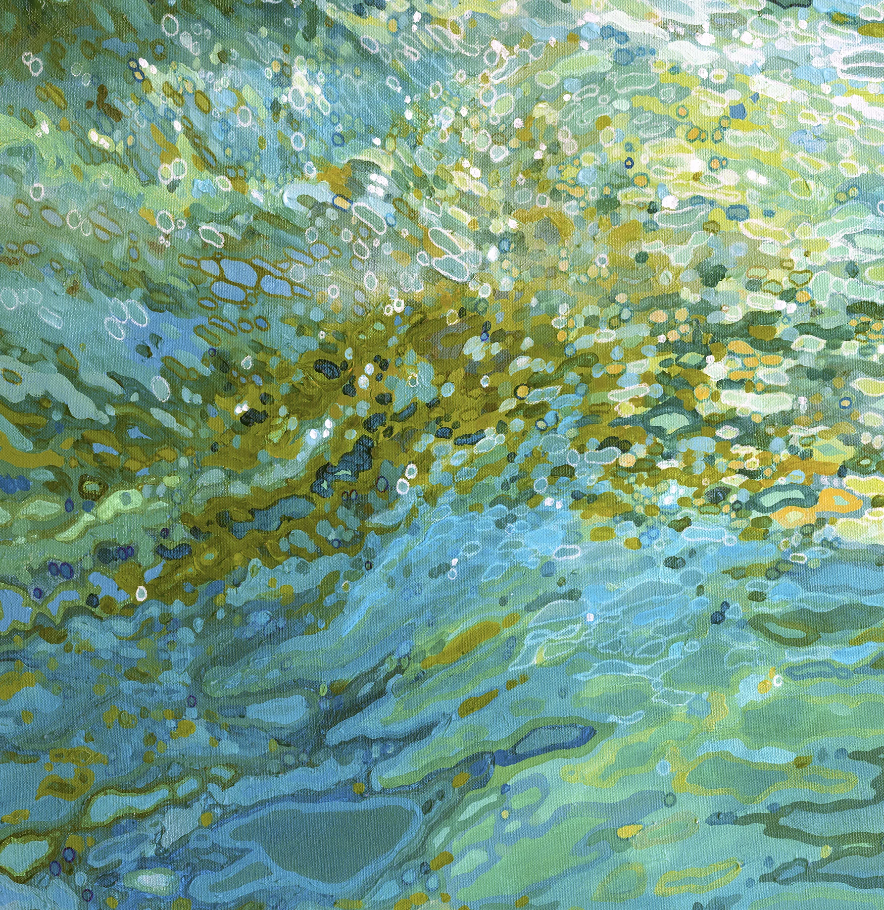 Colors of Tampa Bay