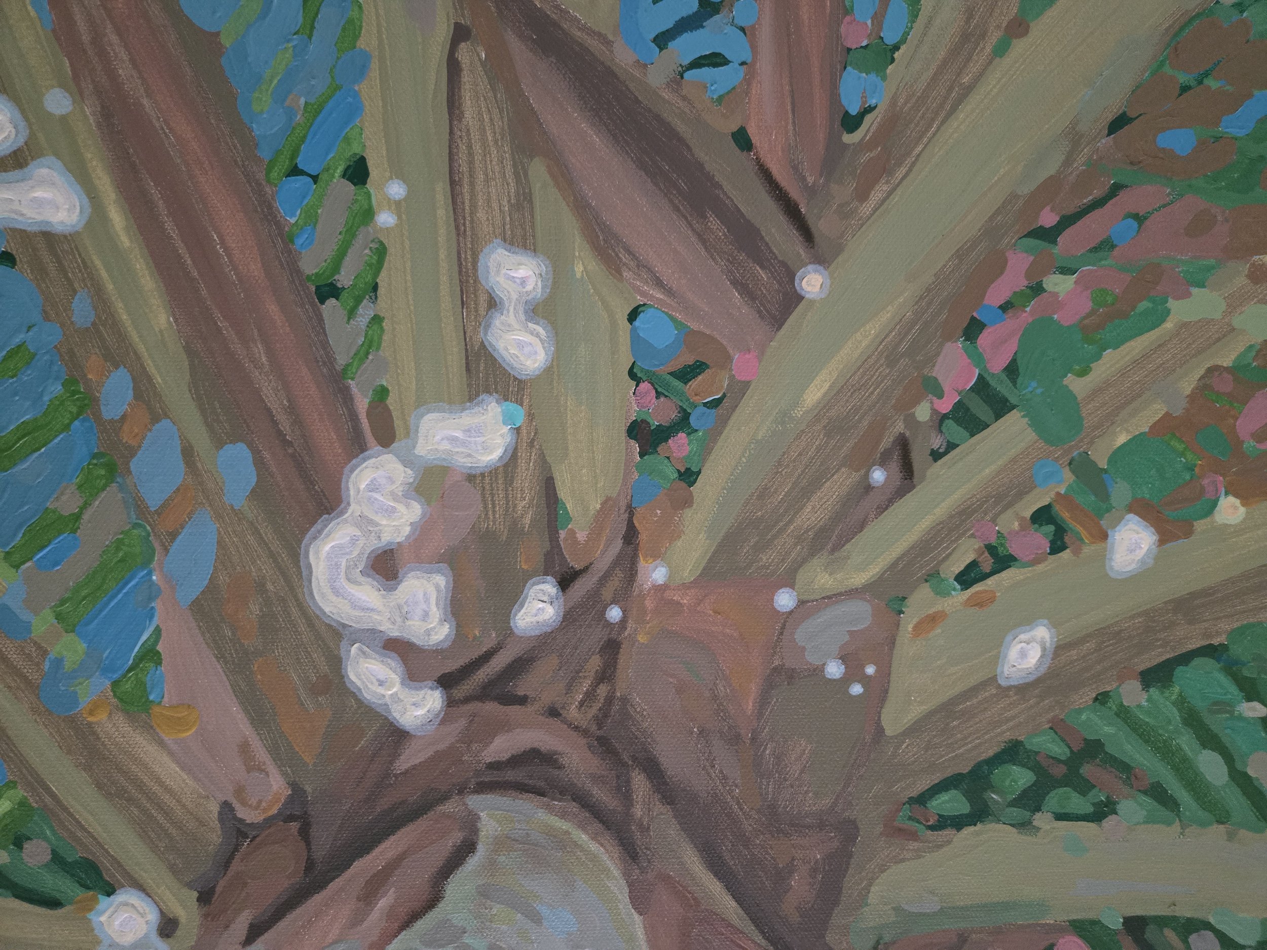 calm lake close 1.jpg