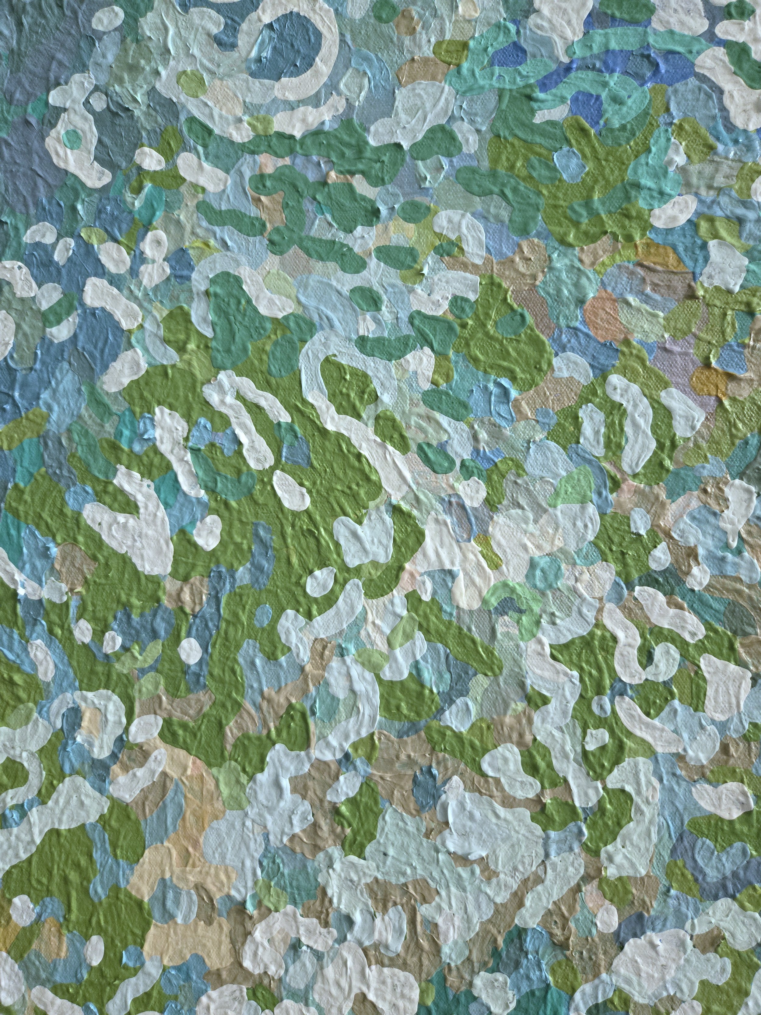 20250502_113937.jpg