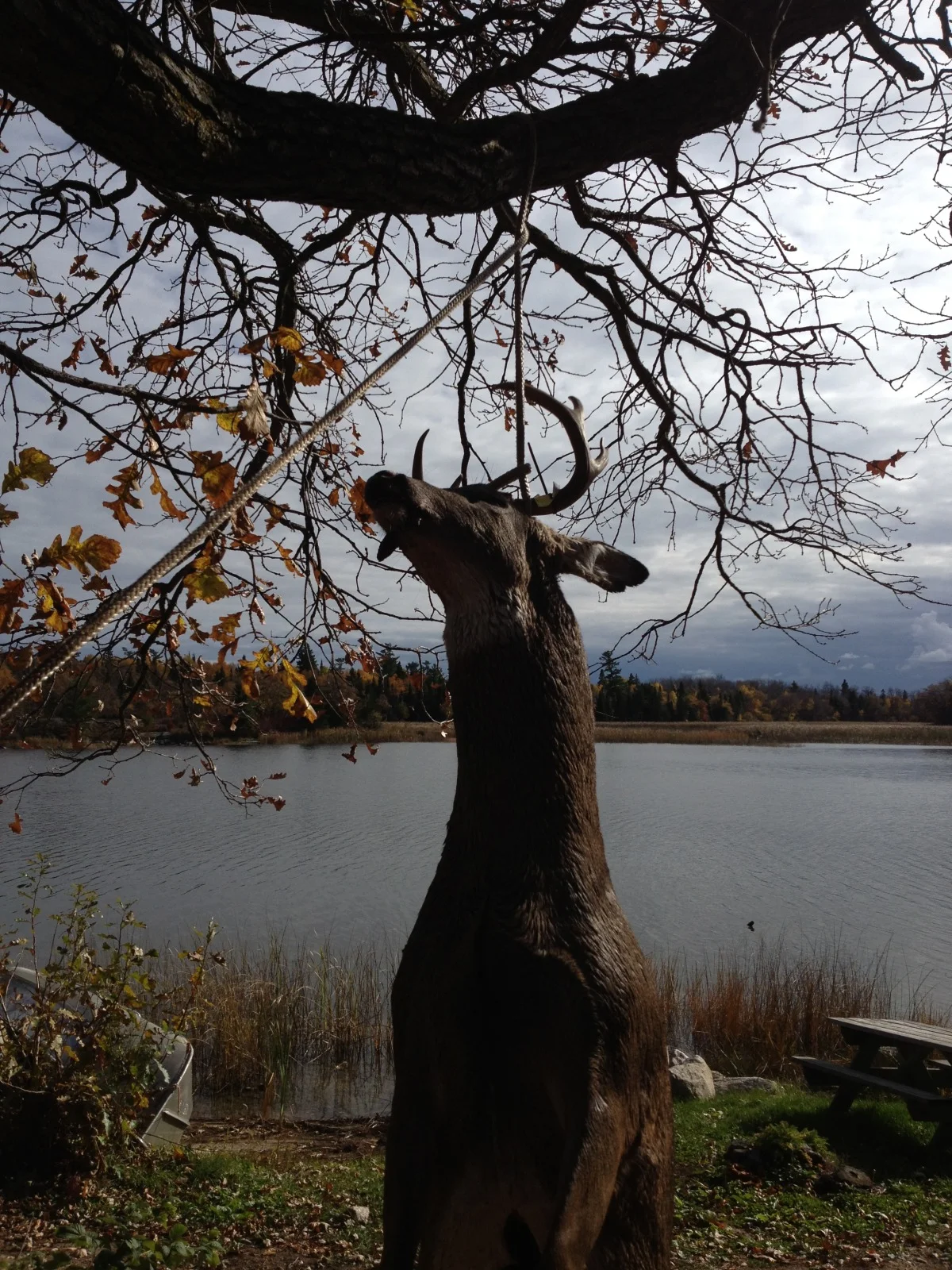 2013-10-18 14.22.57.jpg