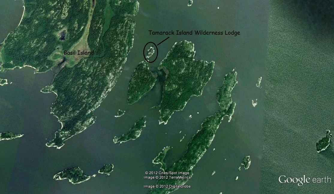 Satellite View.jpg