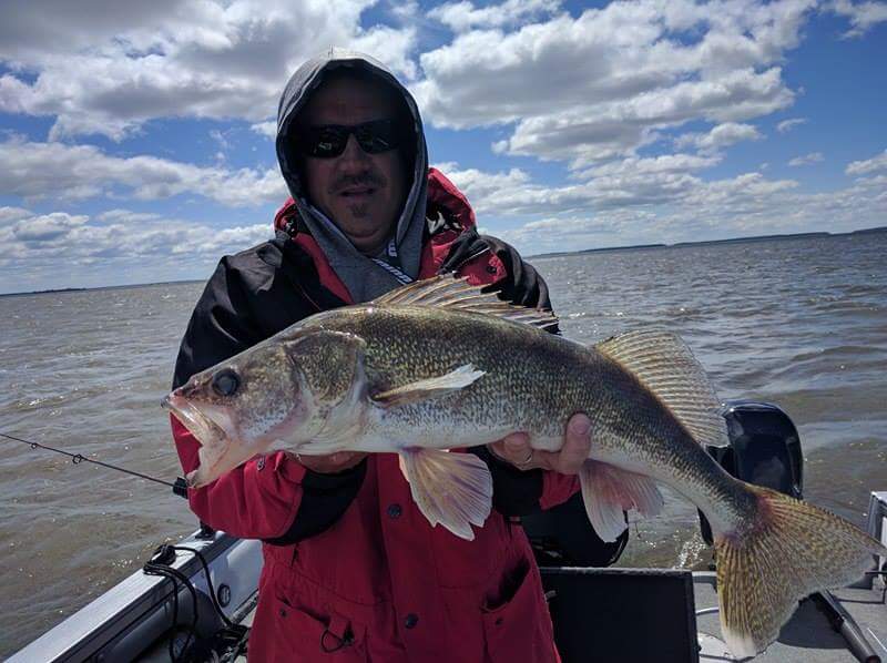 26.5 walleye.jpeg