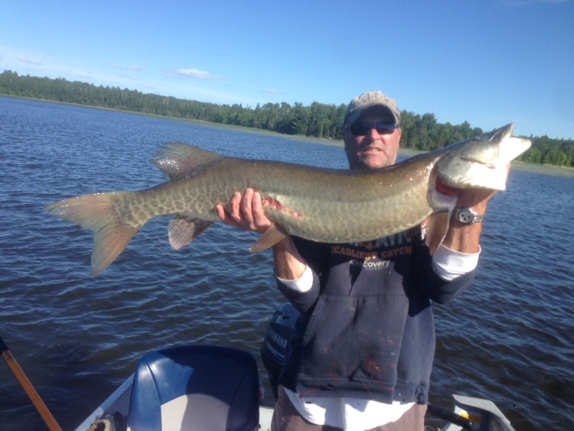 Fred's 46 inch Muskie on 6 lb test.JPG