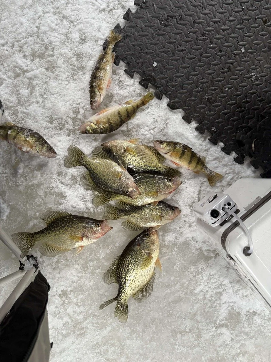 resizedBusiness Suite_creation_1046131537270529.jpg