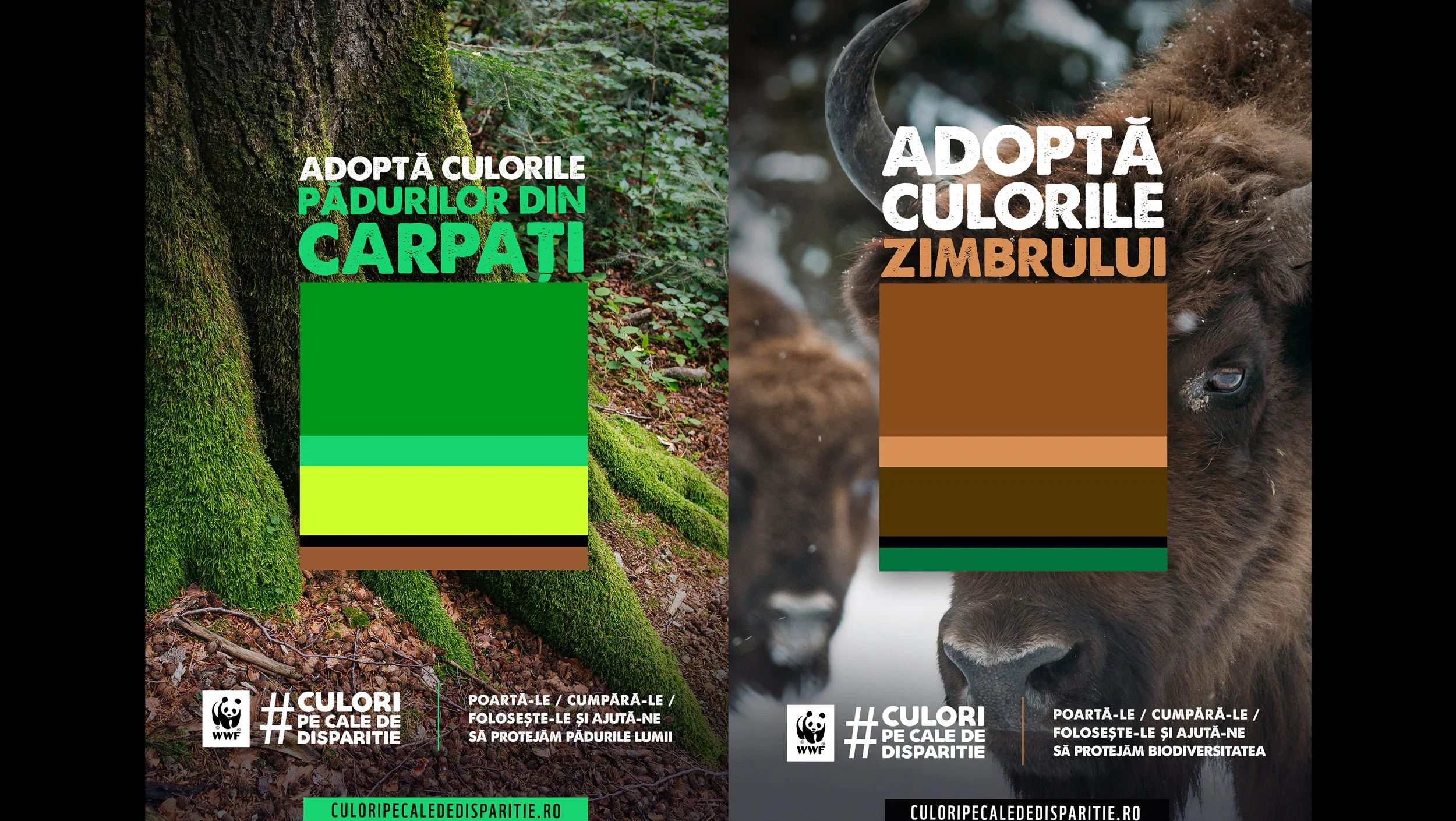 CARPATHIANS&BISON.jpg
