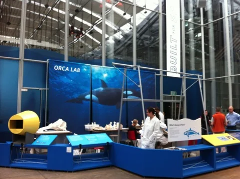 Built For Speed Exhibit Installation ~ Our Orca Story Science Today Piece