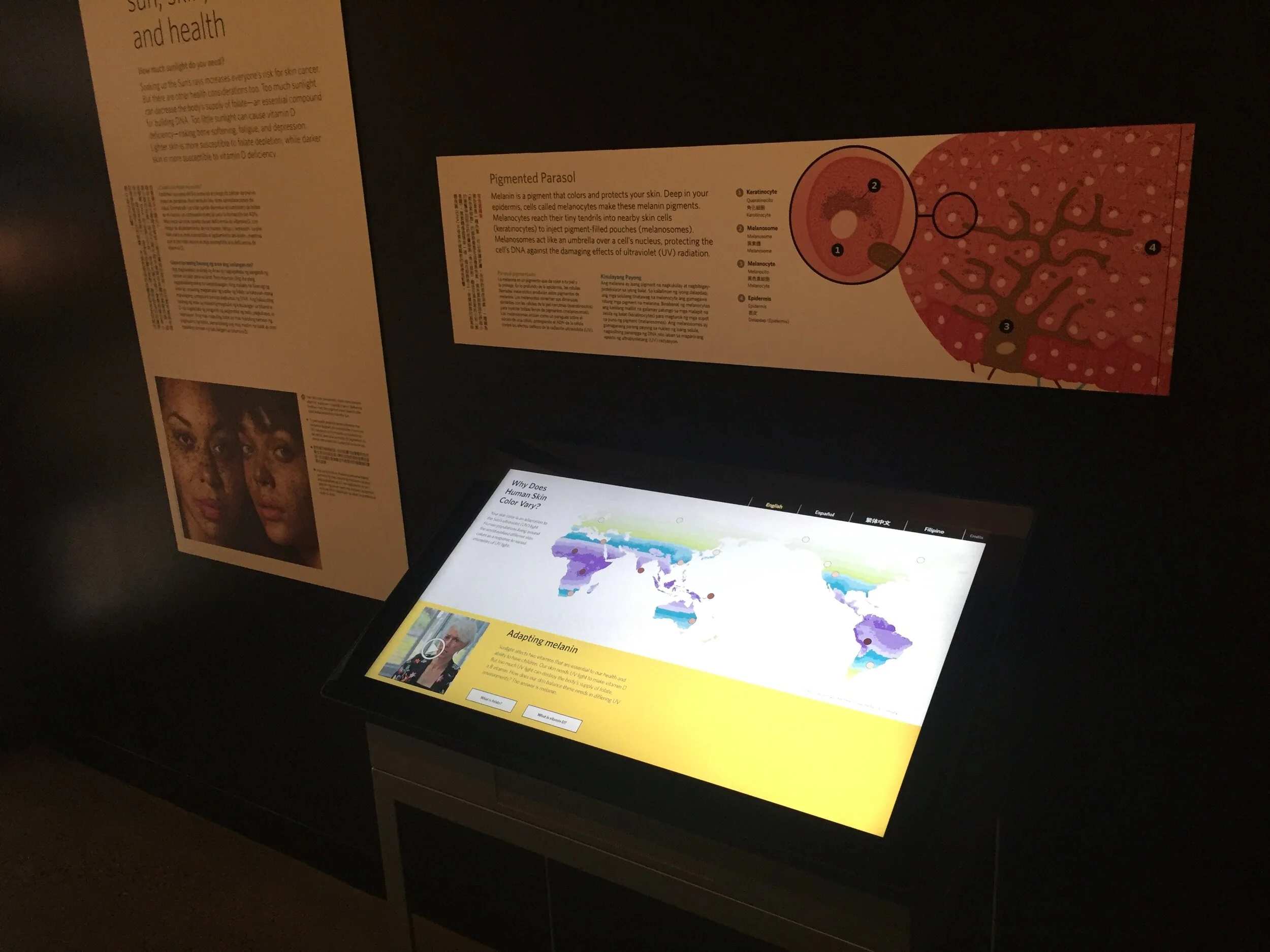 Interactives- Skin Exhibit- California Academy of Sciences