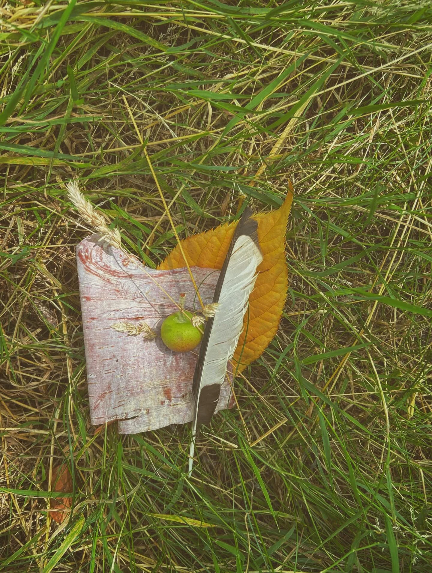 [image] - 9787155.jpeg