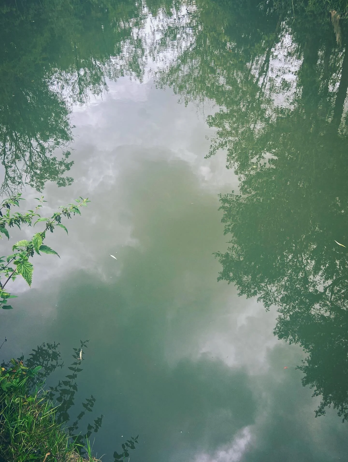 [image] - 9623383.jpeg