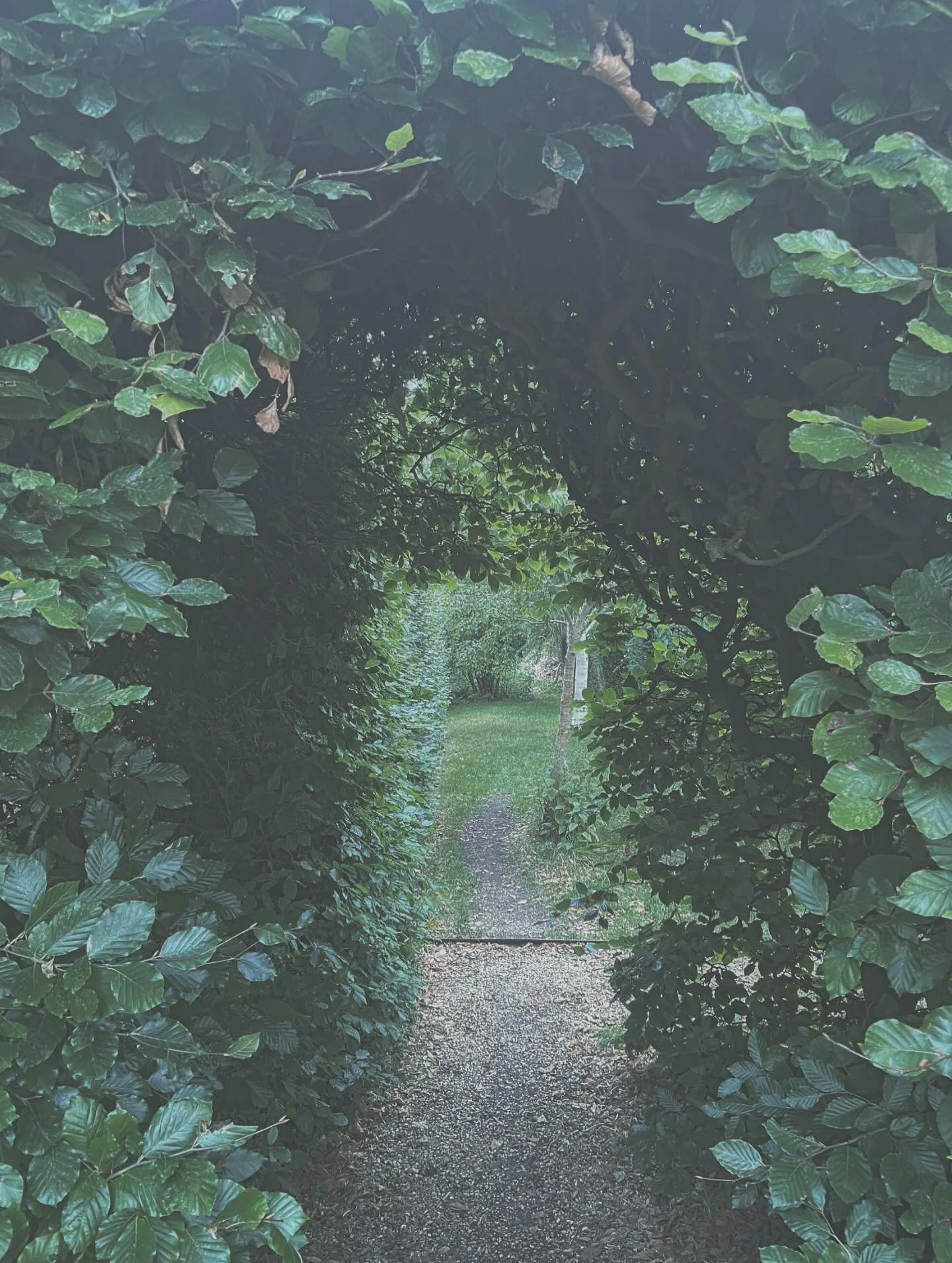 [image] - 9074212.jpeg