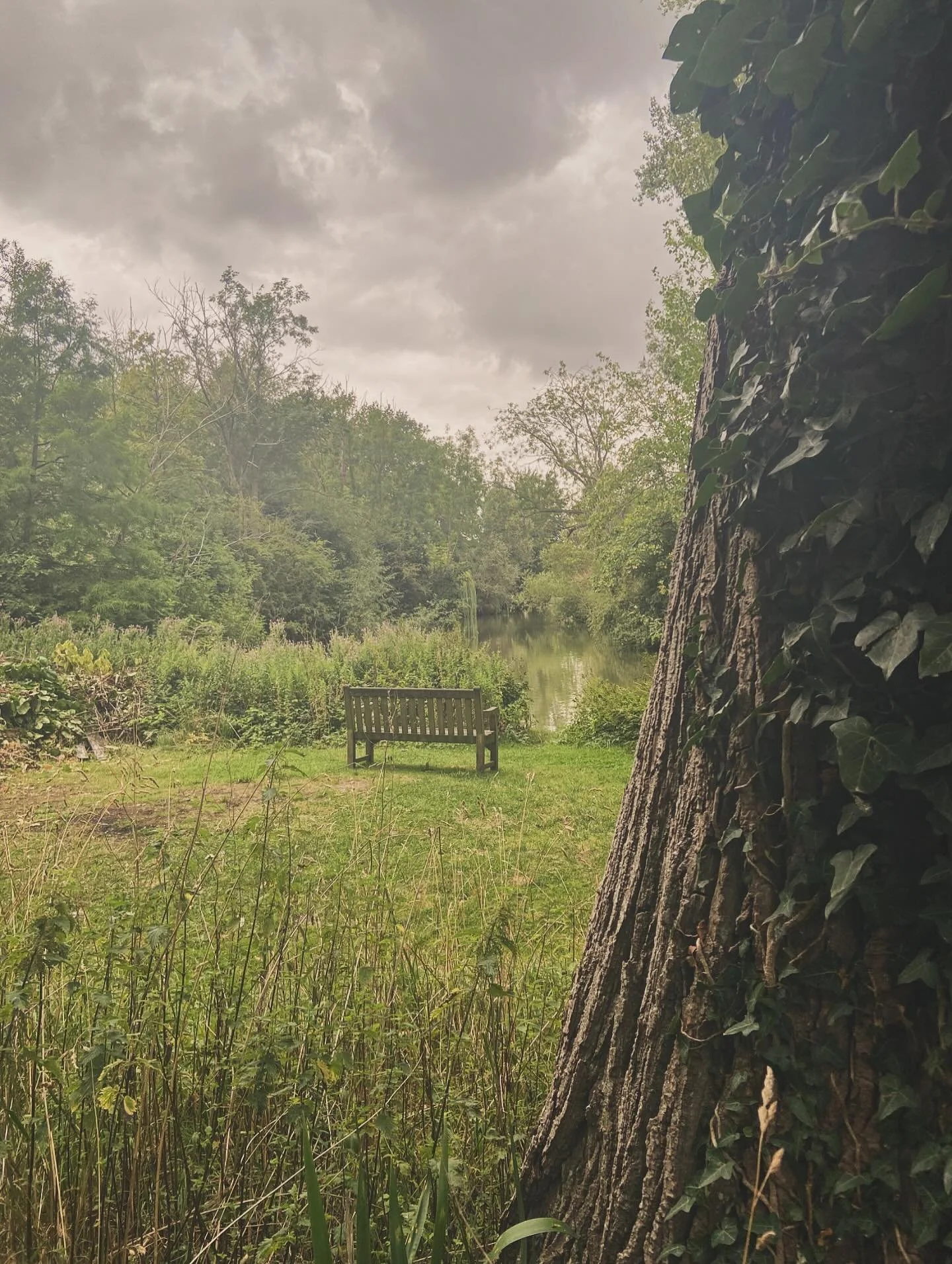 [image] - 8609022.jpeg