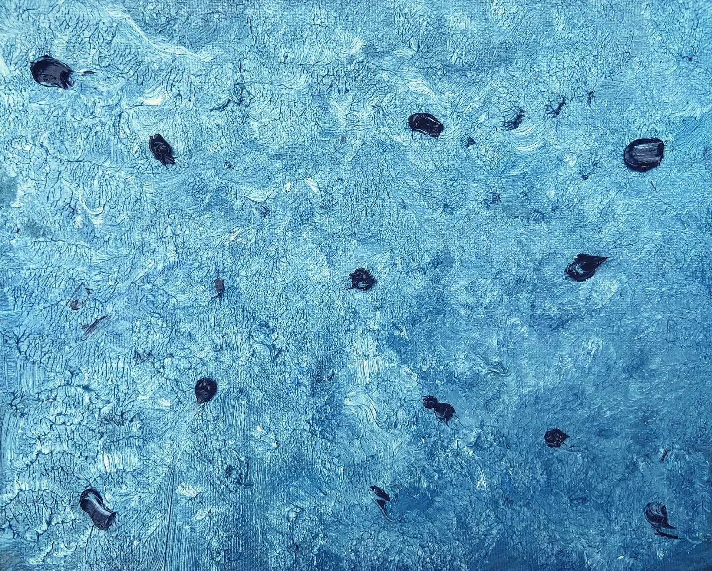 [image] - 8056975.jpeg