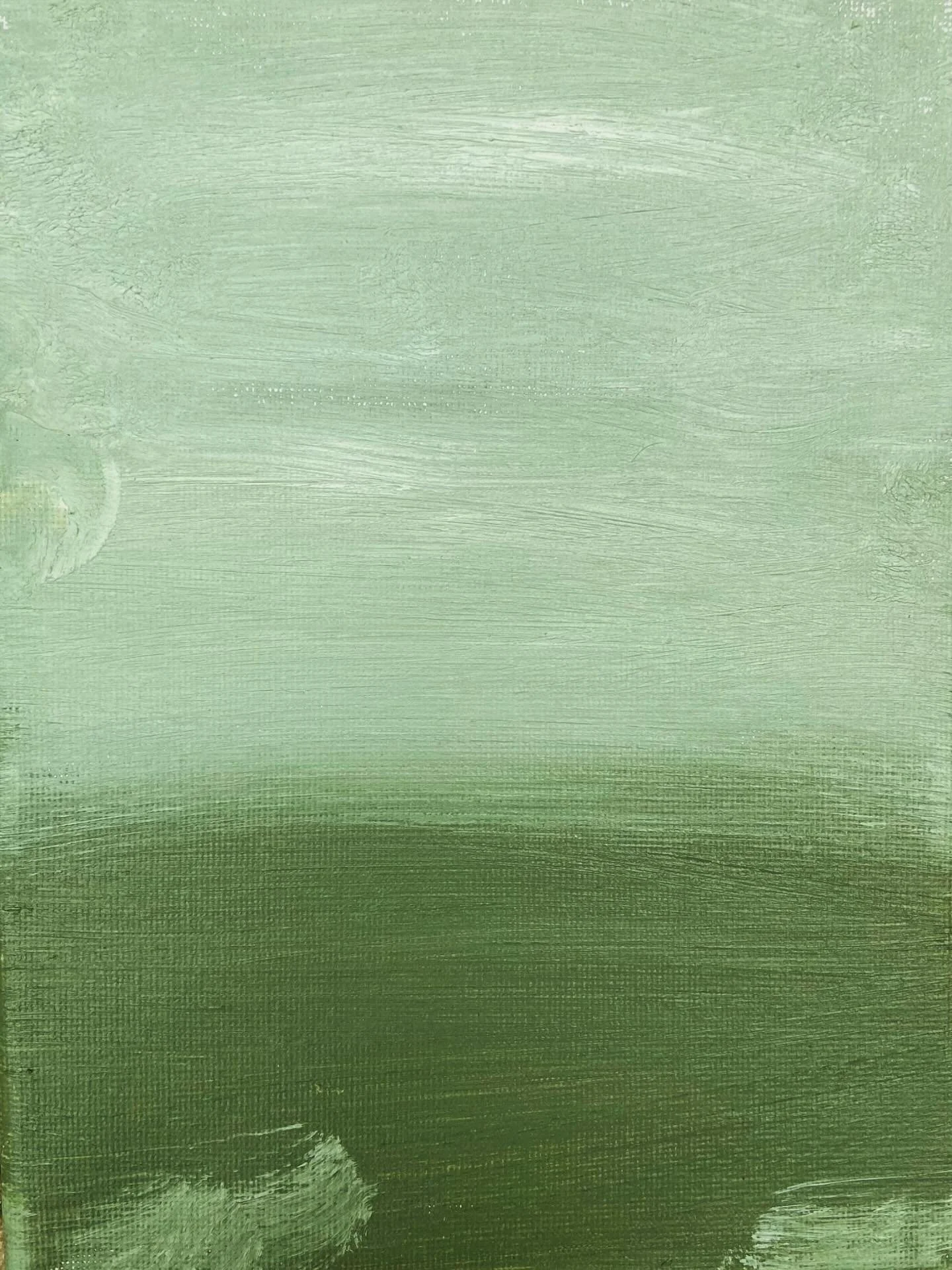 [image] - 7797088.jpeg